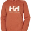 Helly Hansen W HH Logo Hoodie 2023