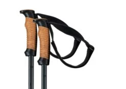 Elan Voyager Pole Vario -Optimaal Ski Apparatuur Winkel Elan Voyager Pole Vario 2022 Black 3