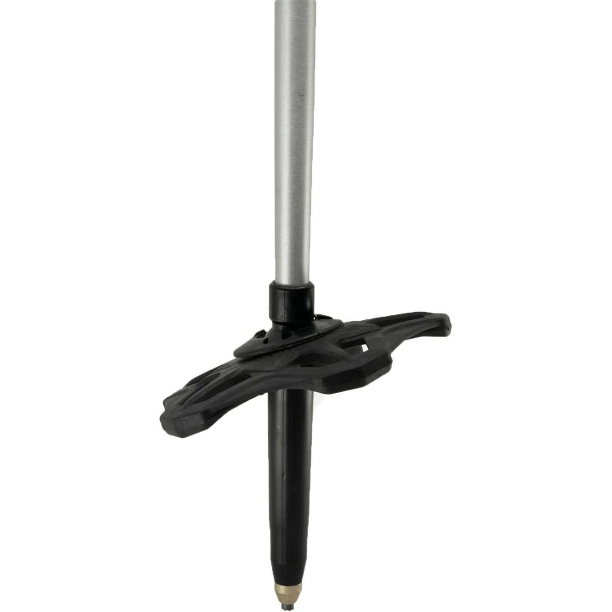 Jones Talon 4 Jones Talon - Afbeelding 4