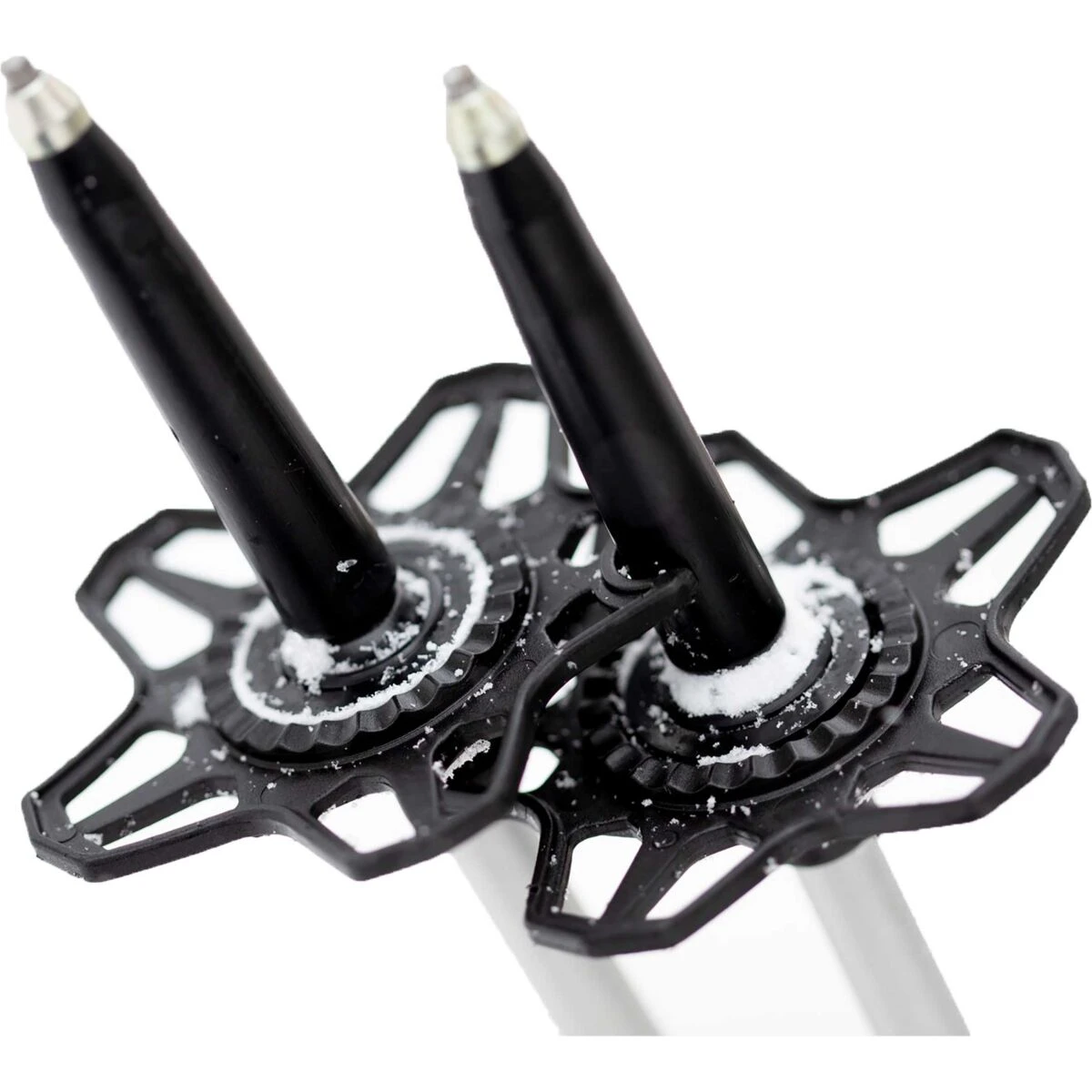 Jones Talon 5 Jones Talon - Afbeelding 5